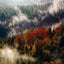 AUTUMN - YINA