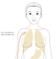 Breathe Deeply: Unlock Lung Health with Acupressure Points LU 1 & LU 2 - YINA