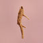 YINA TCM Ingredient Ginseng in Skincare