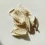 Organic Shan Yao - YINA
