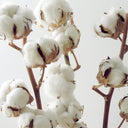 10 Tips for Puffy Skin - YINA