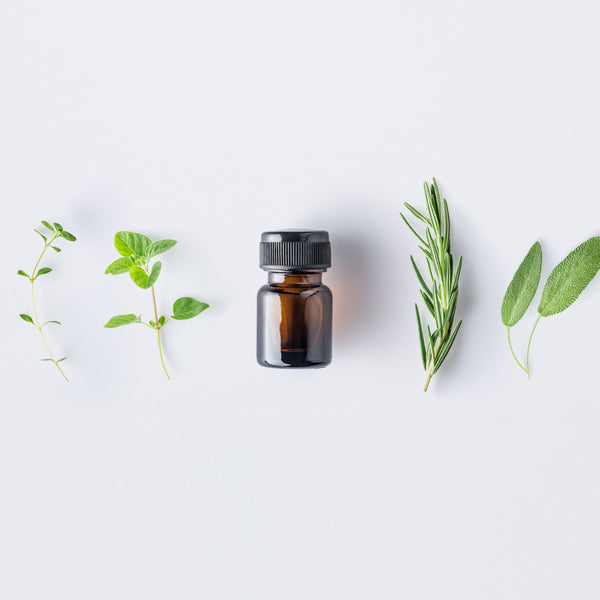 5 TCM Herbs To Protect Your Skin & Spirits - YINA
