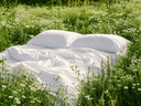 A TCM Guide to Better Sleep During Menopause Part 2 - YINA