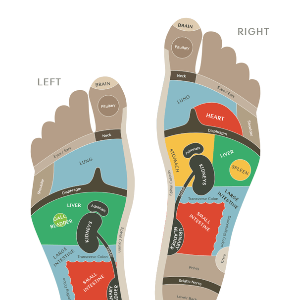 Foot Reflexology 101 - YINA