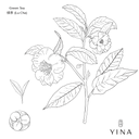 Green Tea* - YINA