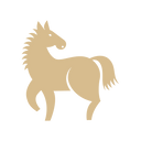 Harnessing the Fire Horse: Your 2026 Guide to Dynamic Wellness - YINA