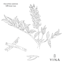 Licorice Root* - YINA