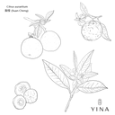 Petitgrain sur Fleurs* - YINA