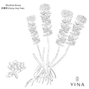 Rhodiola - YINA
