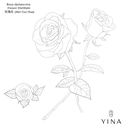 Rose Damask - YINA