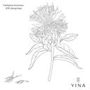 Safflower Seed* - YINA