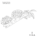 Tremella Snow Mushroom - YINA