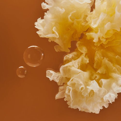 Tremella - The Magical Snow Mushroom 银耳 - YINA