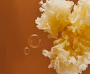 TREMELLA 银耳 Tremella fuciformis — The Silver Ear - YINA