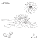 White Lotus - YINA