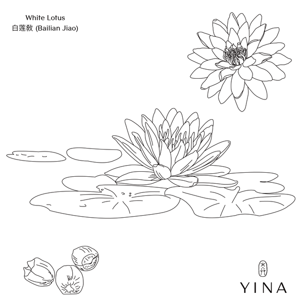 White Lotus - YINA