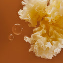 Tremella (Whole Mushroom) (Snow Ear Mushroom) - Tremella fuciformis - Bai Mu Er / Yin Er - ND Grade