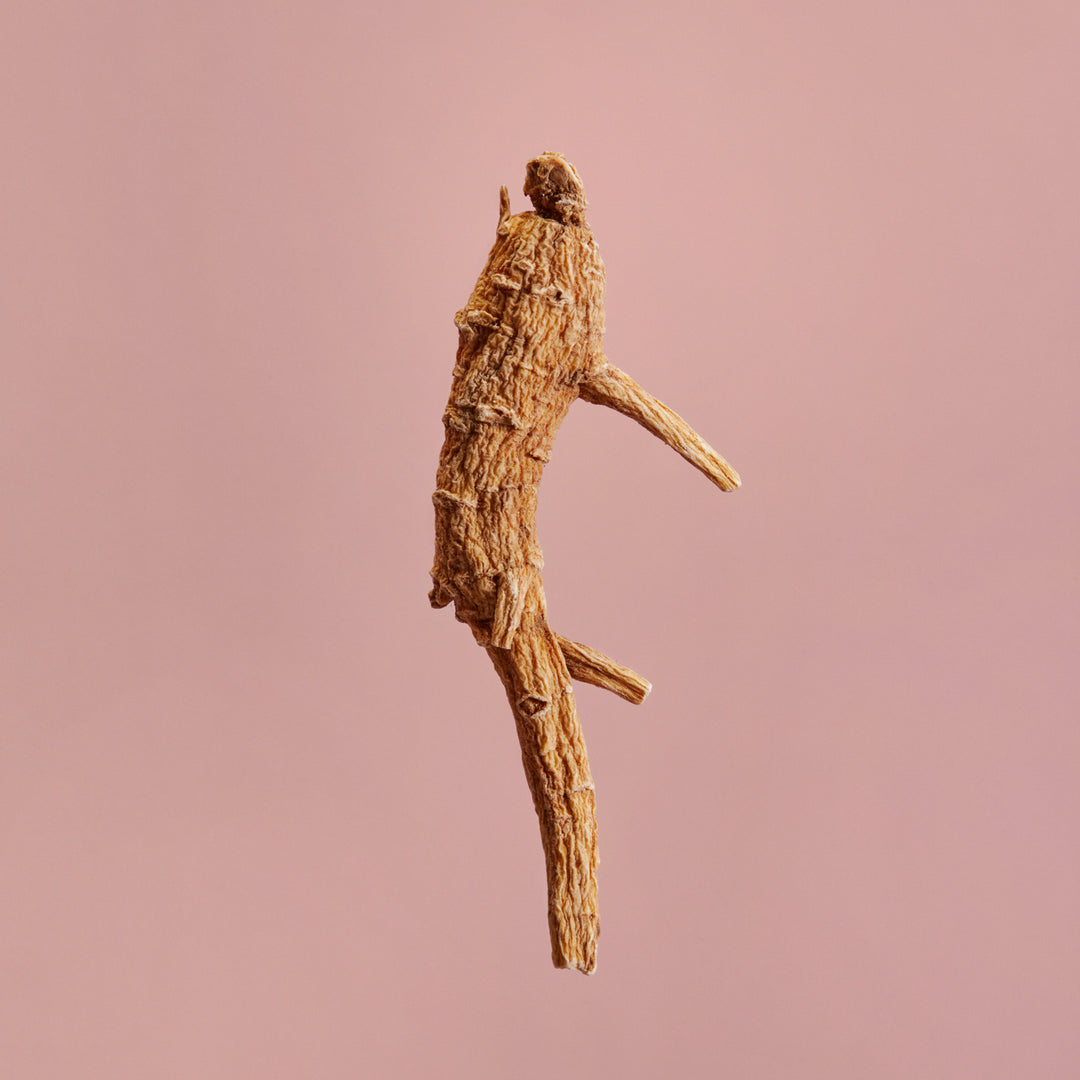 YINA TCM Ingredient Ginseng in Skincare