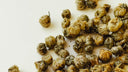 Organic Baby Chrysanthemum - YINA