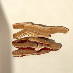 Organic Reishi Slices - YINA