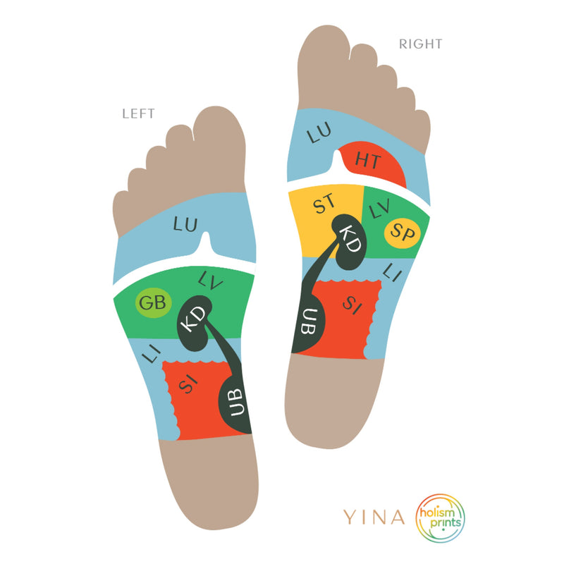 Reflexology Socks - YINA