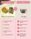 Wild Chrysanthemum - YINA