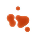 NOURISH Botanical Serum - YINA