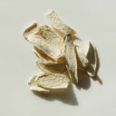 Organic Shan Yao - YINA